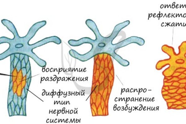 Кракен интернет площадка