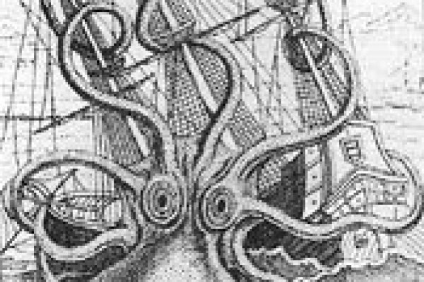 Kraken официальная ссылка tor