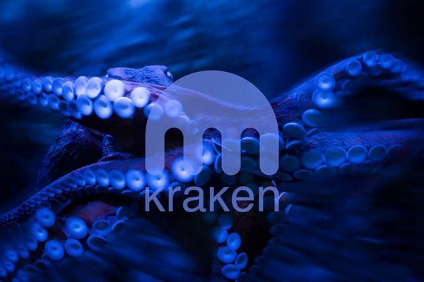 Kraken tor onion зеркало