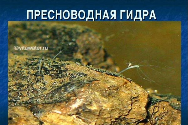 Что такое кракен шоп