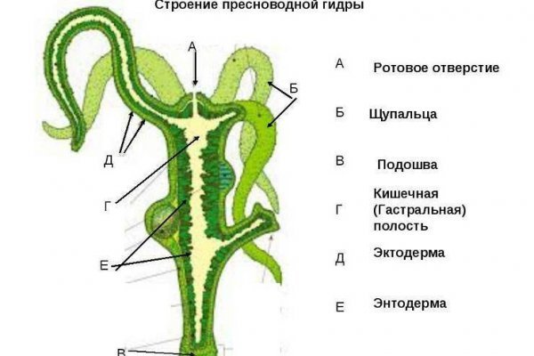 Реальные ссылки кракен