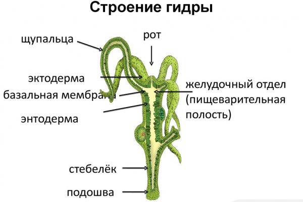 Кракен даркнет плейс