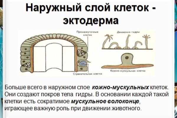 Как зайти на кракен в торе