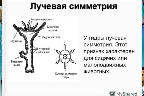 Ссылки на кракен мегу