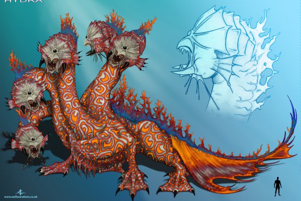 Kraken 19 at