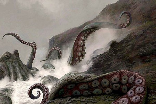 Kraken рабочий